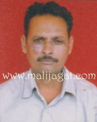 malijagat21901