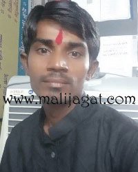 malijagat22035