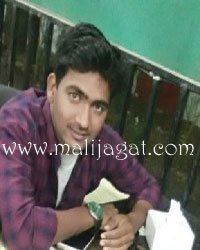 malijagat22071