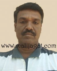 malijagat24003