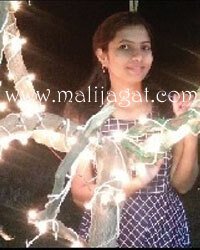 malijagat24017