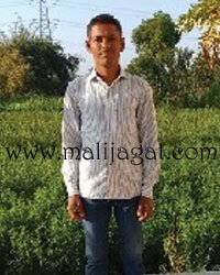 malijagat24040