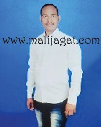 malijagat24081