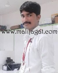 malijagat25033