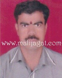 malijagat28044