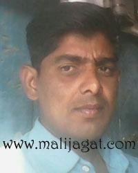 malijagat21165