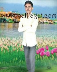 malijagat21294
