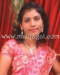 malijagat21371