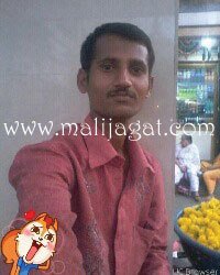 malijagat21374